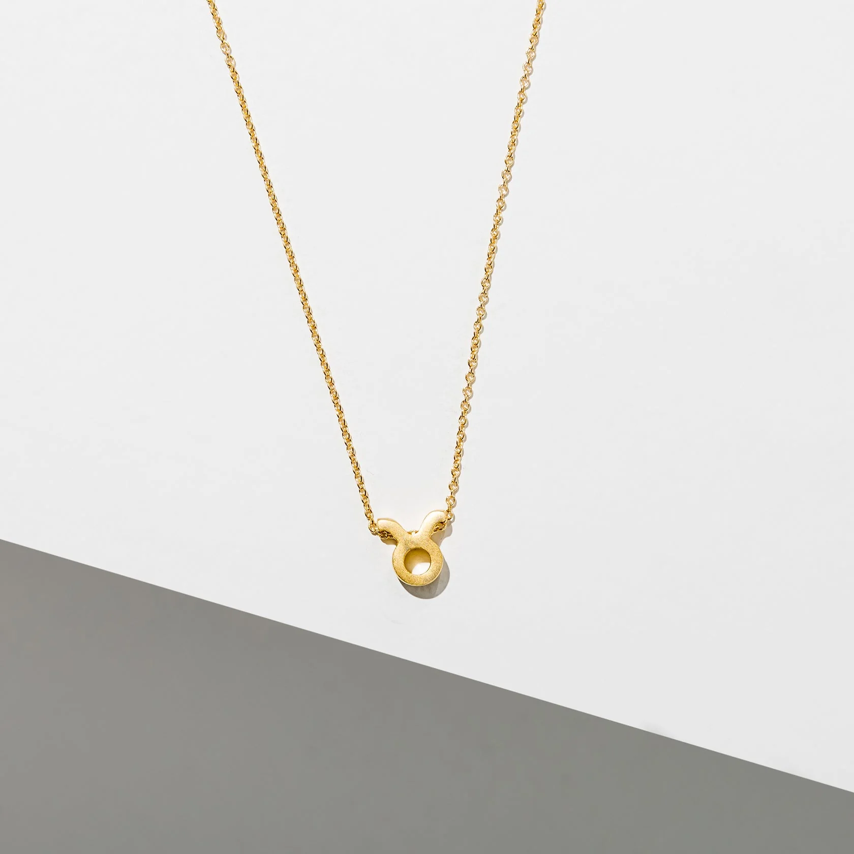 Zodiac Necklace - 24K Gold Plated by Larissa Loden - Image 5
